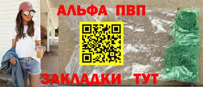 кокс Гатчина
