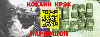 кокс Гатчина