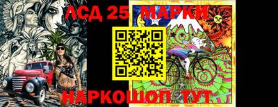 индика Гагарин