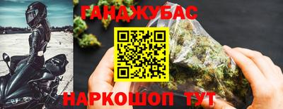 кокс Гатчина