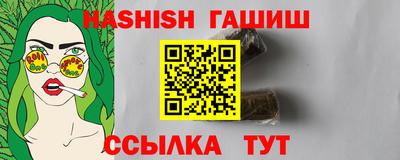 индика Гагарин