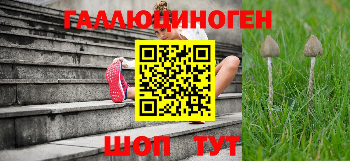 Галлюциногенные грибы прущие грибы  Вход с VPN  Горно-Алтайск 