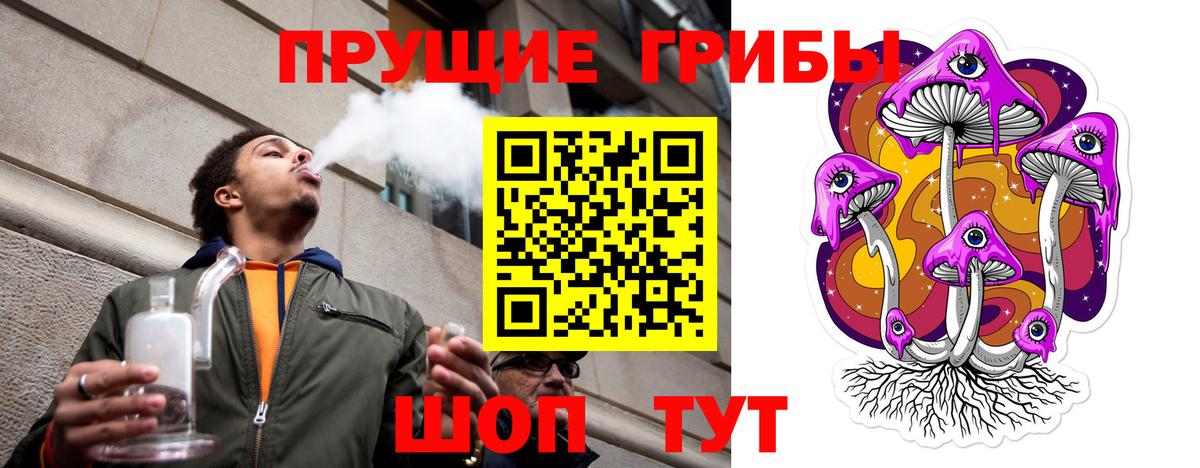 Псилоцибиновые грибы мухоморы Горно-Алтайск